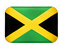 Caribbean flag